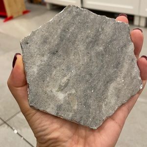 Gray marble coasters